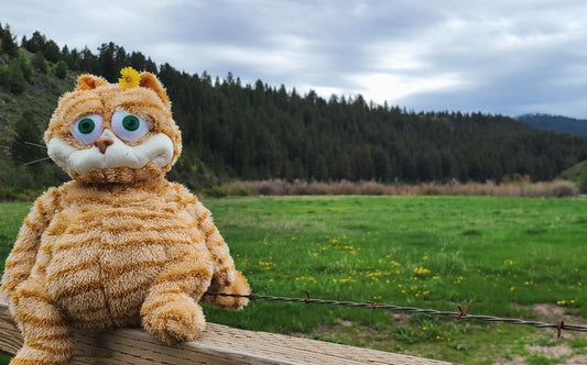 Ugly Cursed Garfield