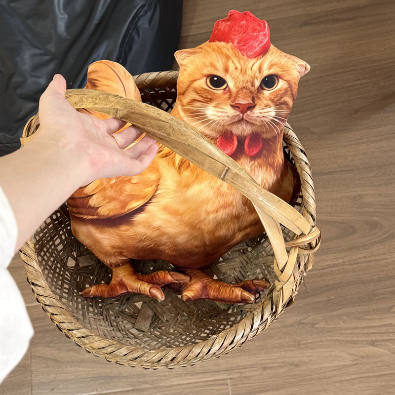 chicken-45cm