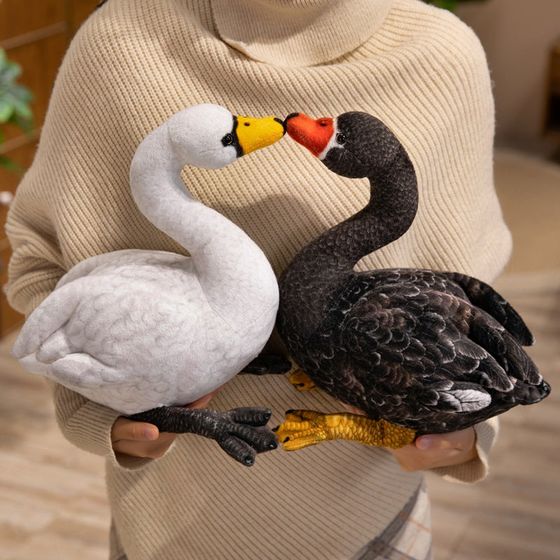 swan-33cm