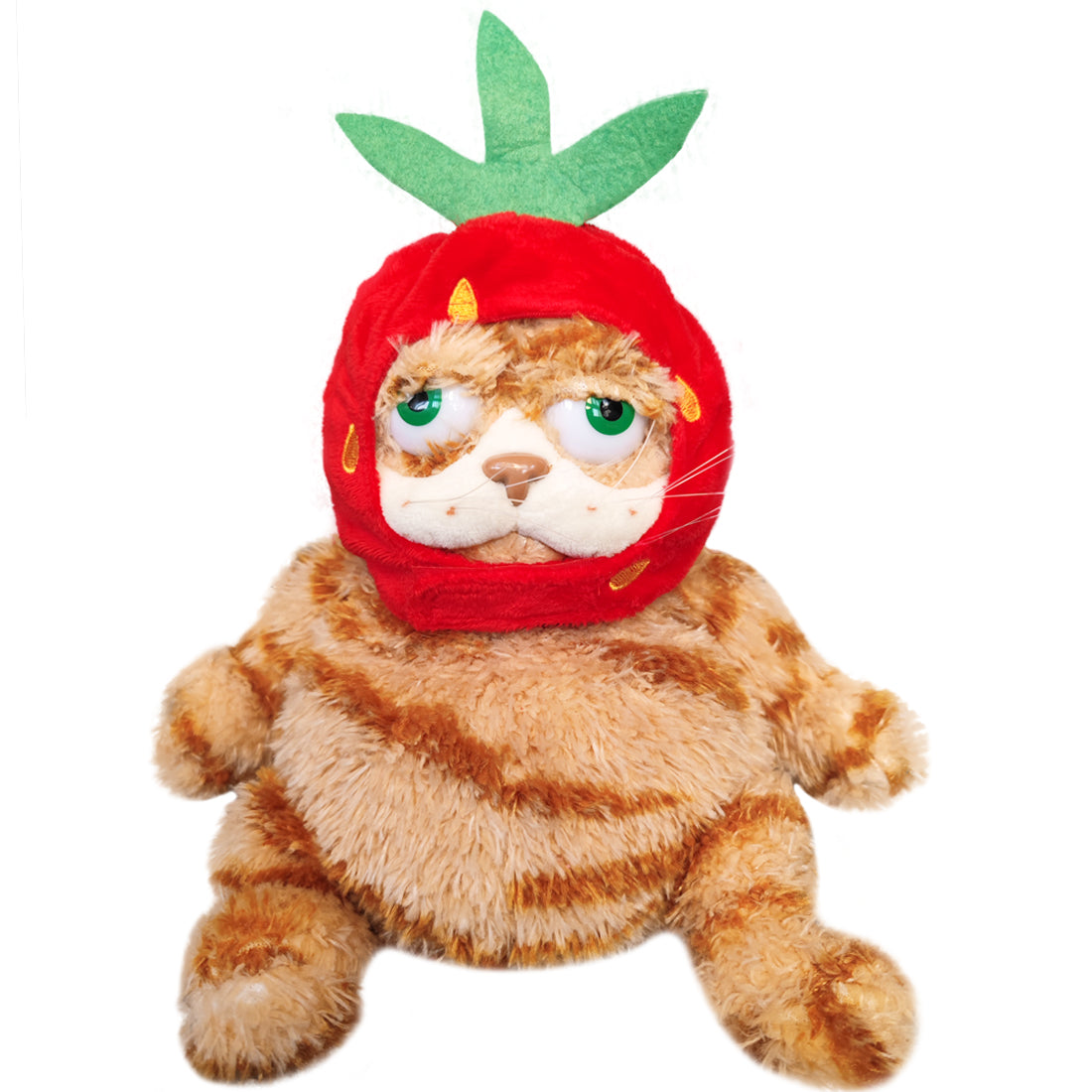 ELAINREN Kawaii Garfield Plush Toy with Strawberry Hat,Stuffed Fat Orange Cat Dress Fruit Costume-30cm