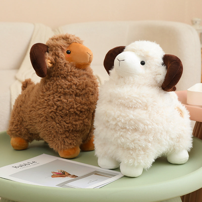 sheep