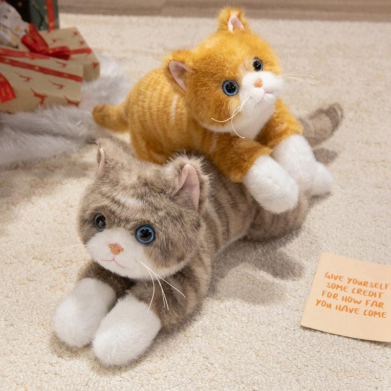 cat-45cm