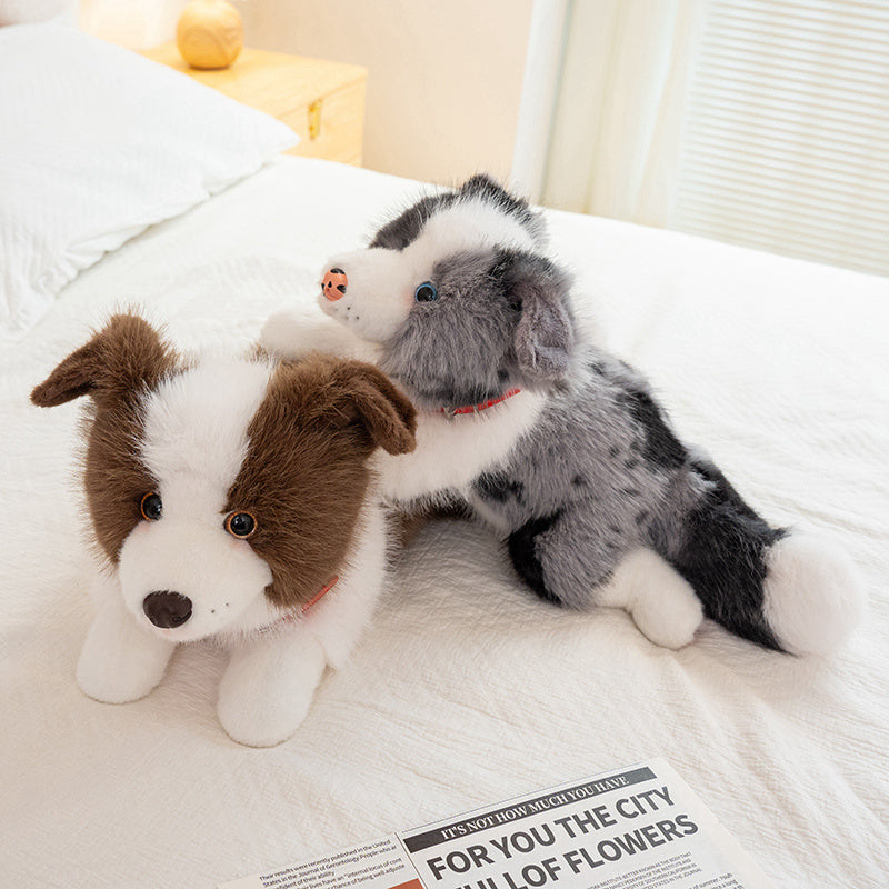 dog-40cm