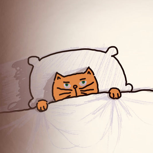 Good Night~nice dream