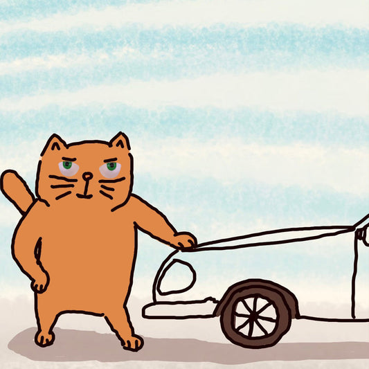 I picked up a new car