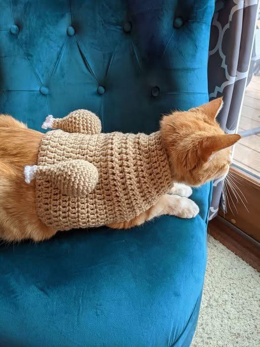 Thanksgiving Cat