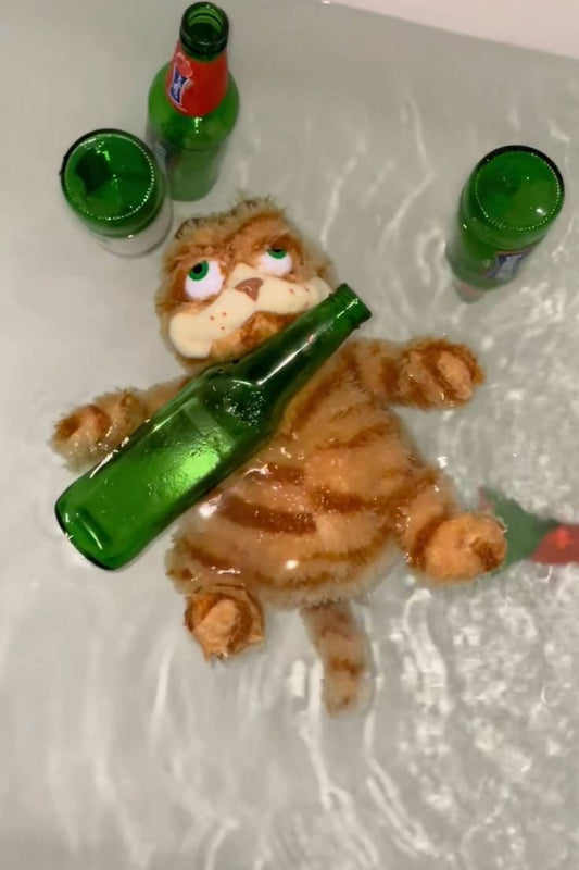 I got this exact plushie of Garfield for my birthday and he’s so mood
