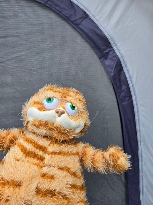 he went camping chat