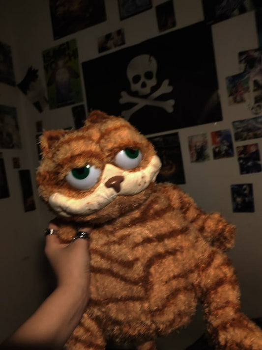 i love garfield