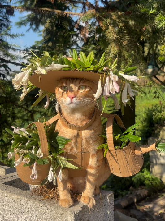 Adorned with flowers on its head