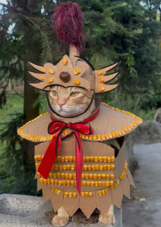 Draw a general cat
