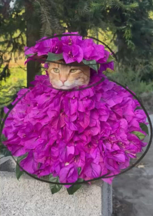 Tumbler Cat