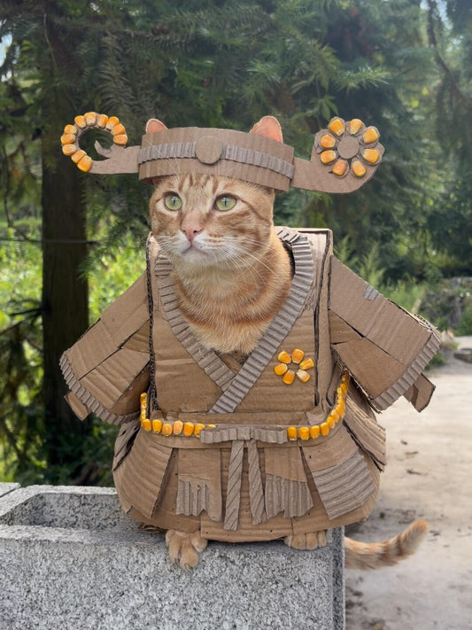 Cat: I finally got my favorite skin!