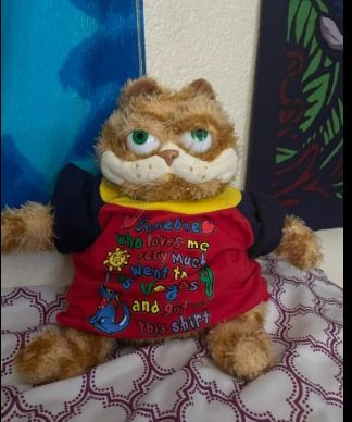 stupid ugly fat orange cat