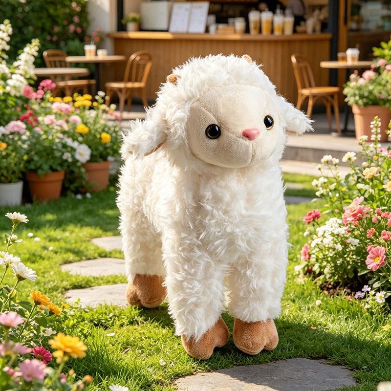 sheep