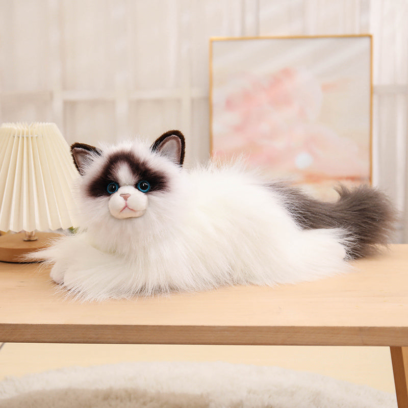 Ragdoll-50cm