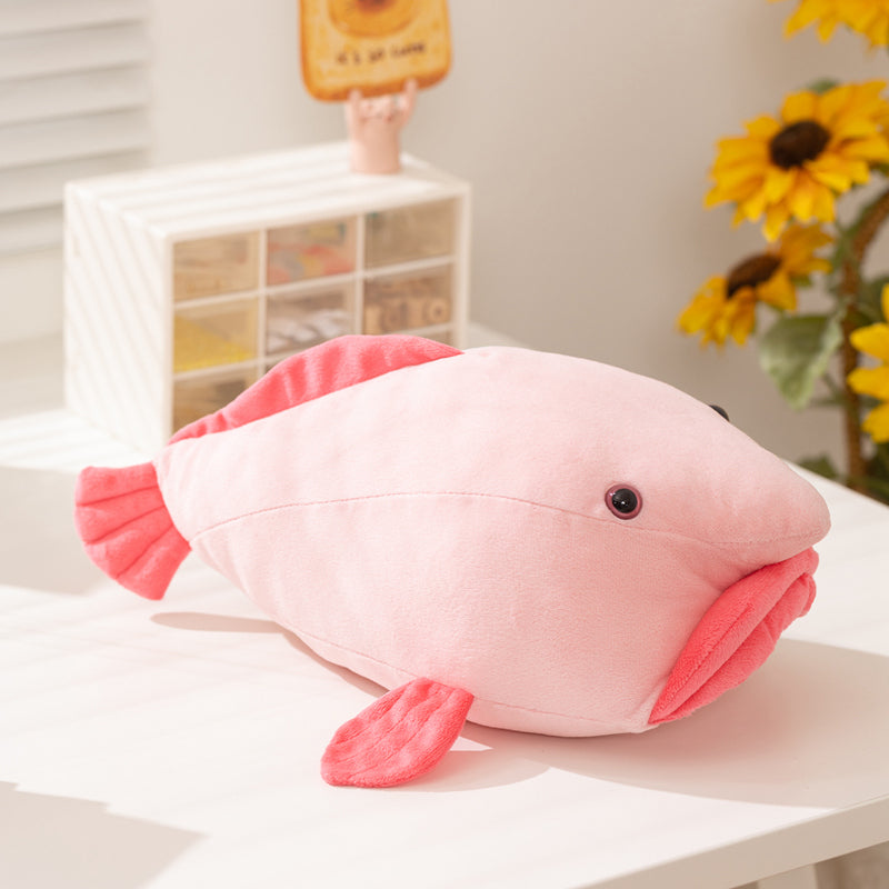 fish