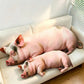 ELAINREN Ultra Realistic Pig Plush Pillow, Cute Pig Decorative Throw Pillow-100cm