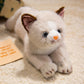 ELAINREN Realisitc Kitten Cat Stuffed Kitty Toy GIfts