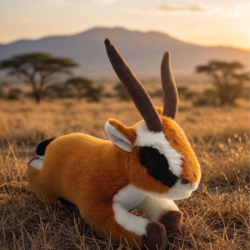 antelope-Sitting-30cm/Prone-40cm