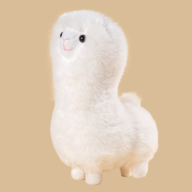 alpaca