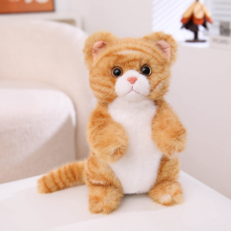 cat-25cm