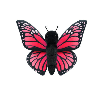 insect
