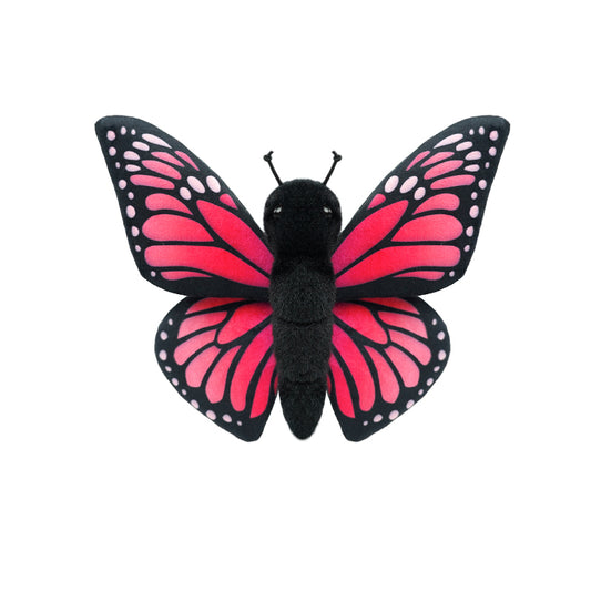 insect