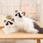 Ragdoll-50cm