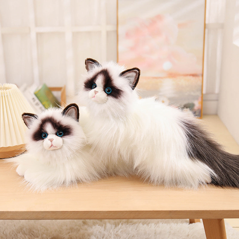 Ragdoll-50cm