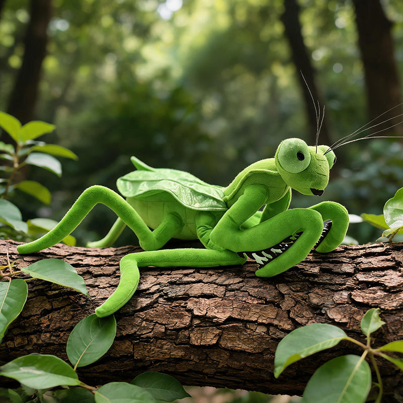 mantis-45cm