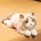 ELAINREN Realistic Brown Ragdoll Cat Stuffed Animal Lifelike Kitten Cat Plush Toy Gifts/43cm