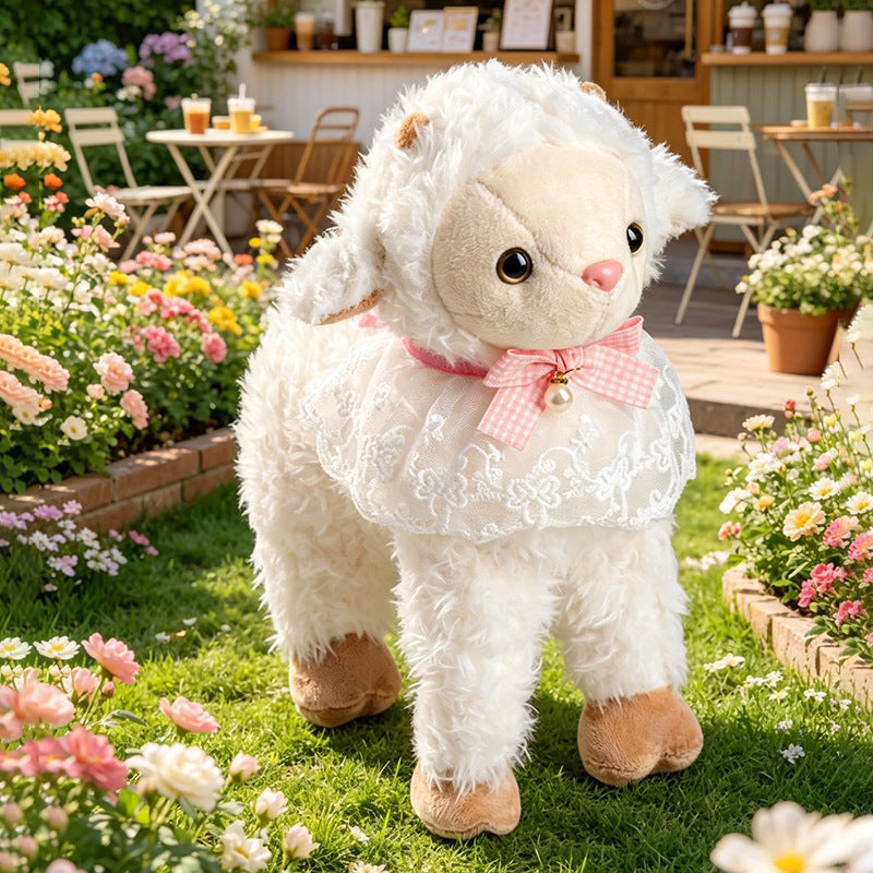 sheep