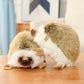 hedgehog-20cm