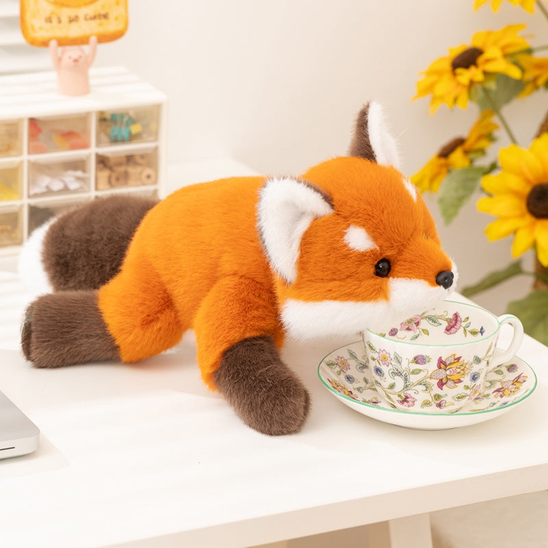 fox