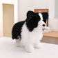 sheepdog-standing-29cm/sitting-24cm/prone-34cm