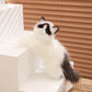 Ragdoll-50cm