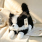 dog-35cm