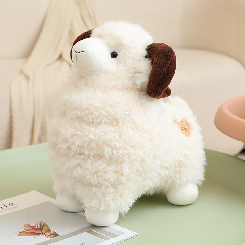 sheep