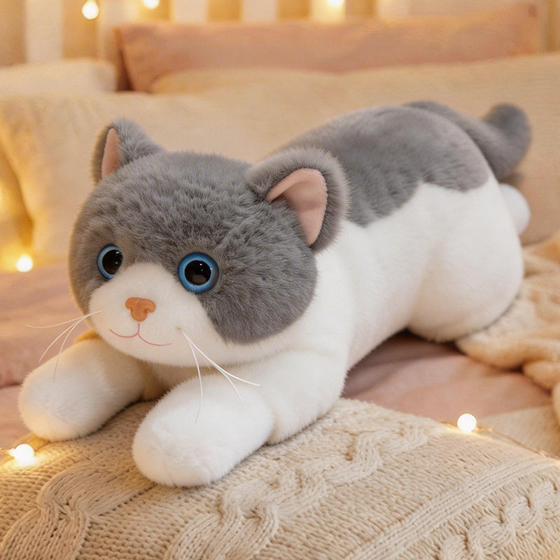 cat-45cm