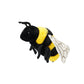insect