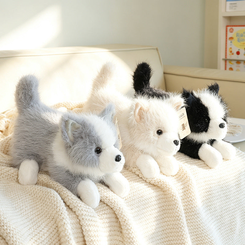 dog-35cm