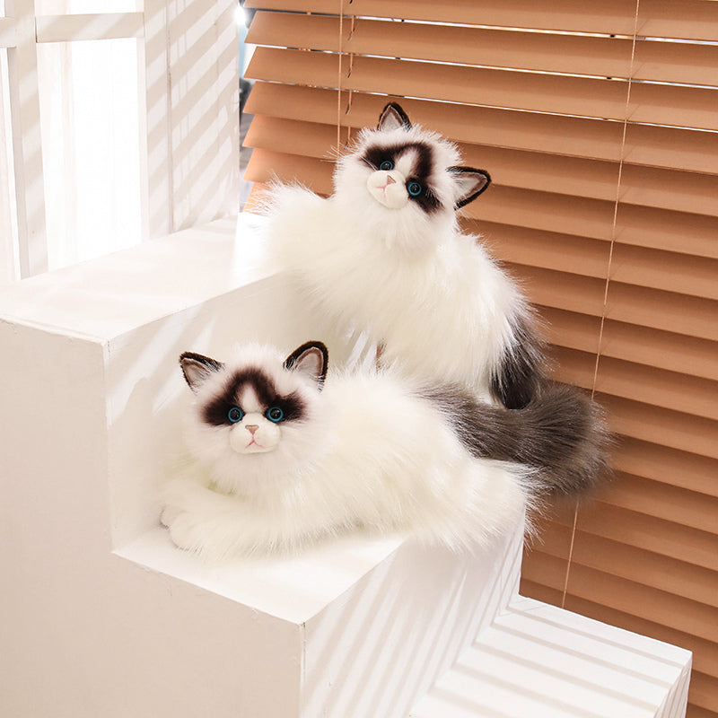 Ragdoll-50cm