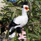 secretary bird-30cm