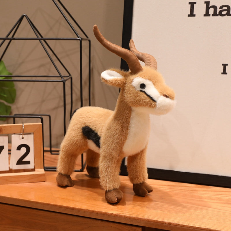 Tibetan antelope