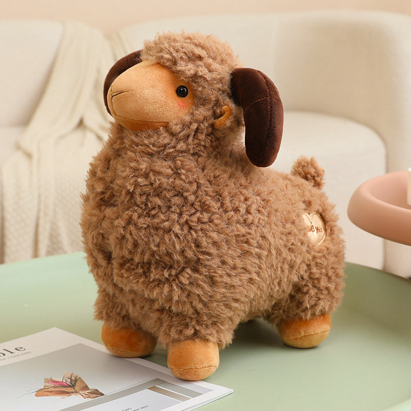 sheep