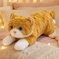 cat-45cm
