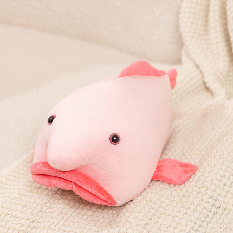 fish
