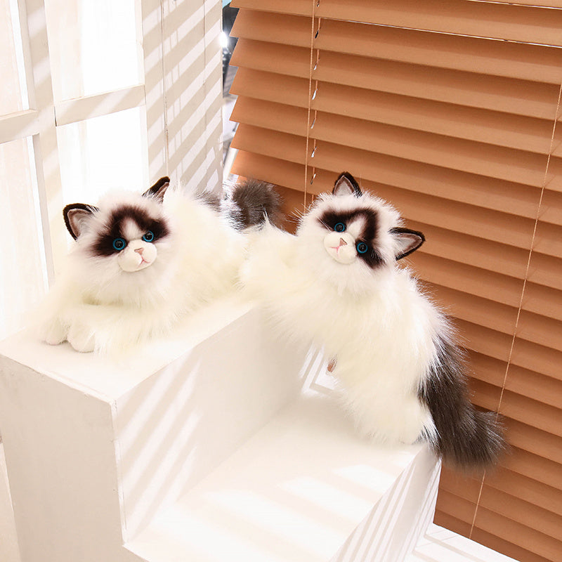 Ragdoll-50cm