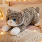 cat-45cm